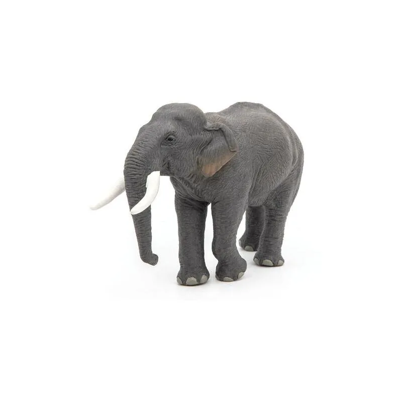 აზიური სპილო