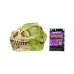 დინოზავრი დაფარულ შეფუთვაში