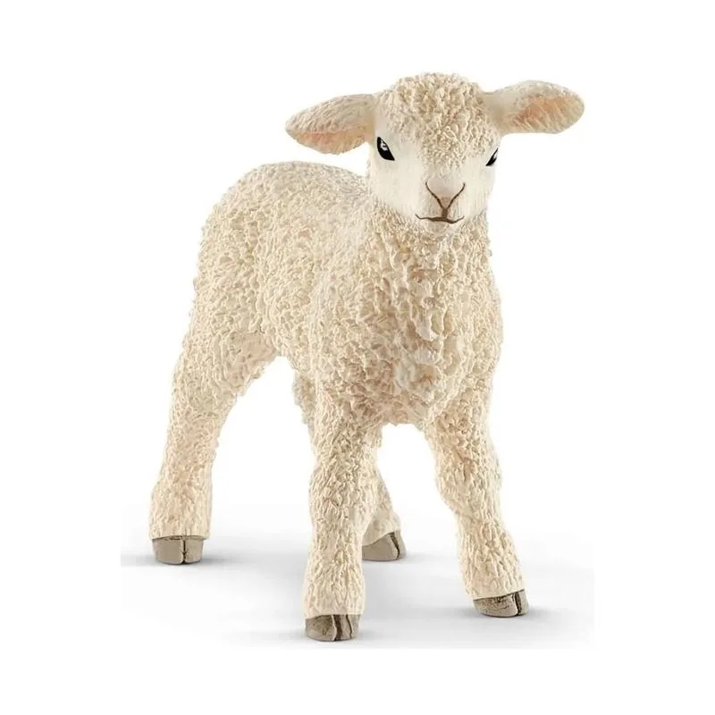 SCHL - ცხვარი