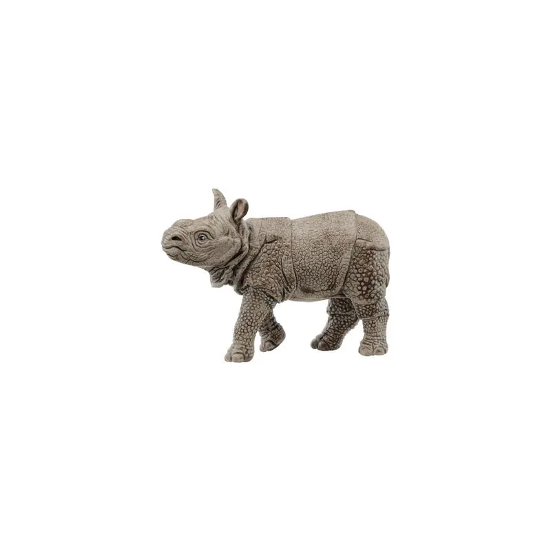 ინდოელი ჩვილი მარტორქა