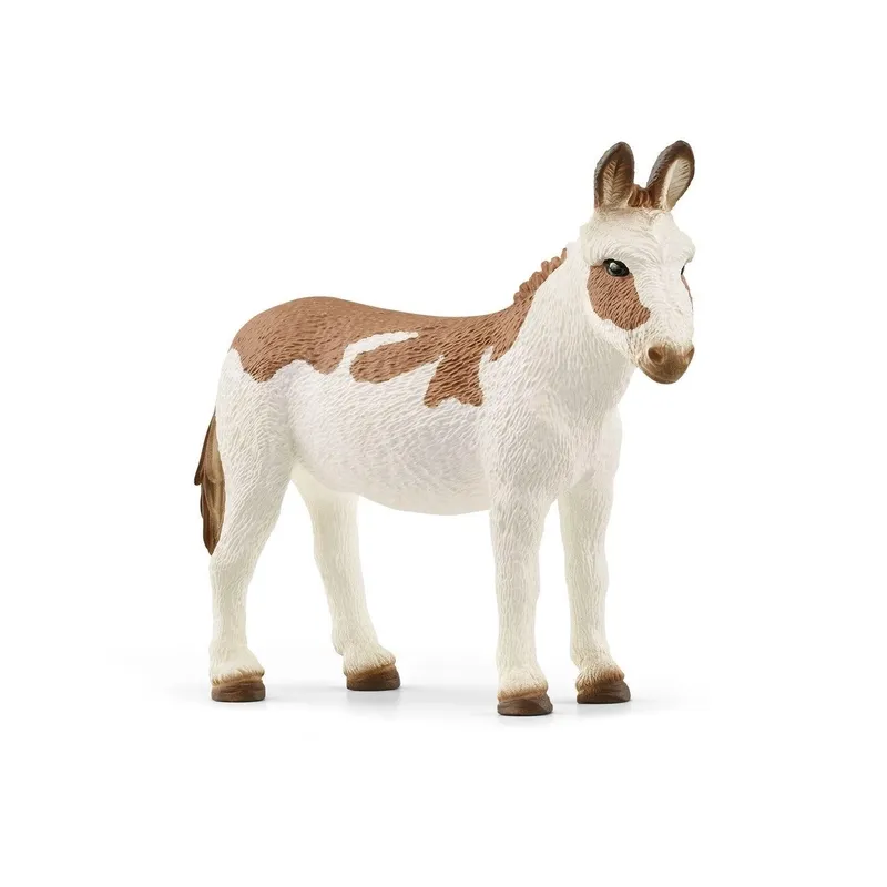 ამერიკელი ლაქებიანი ვირი