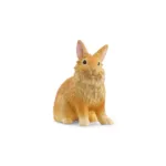 SCHL - კურდღელი