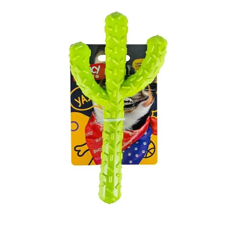 სათამაშო შინაური ცხოველებისთვის - კაქტუსი
