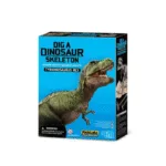 ტირანოზავრი რექსის ჩონჩხი