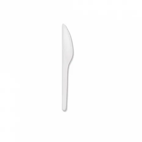 ერთჯერადი პლ. დანა 100ც.