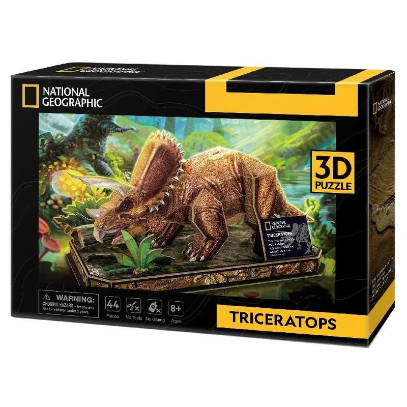 3D ფაზლი ტრაისრაპტორი