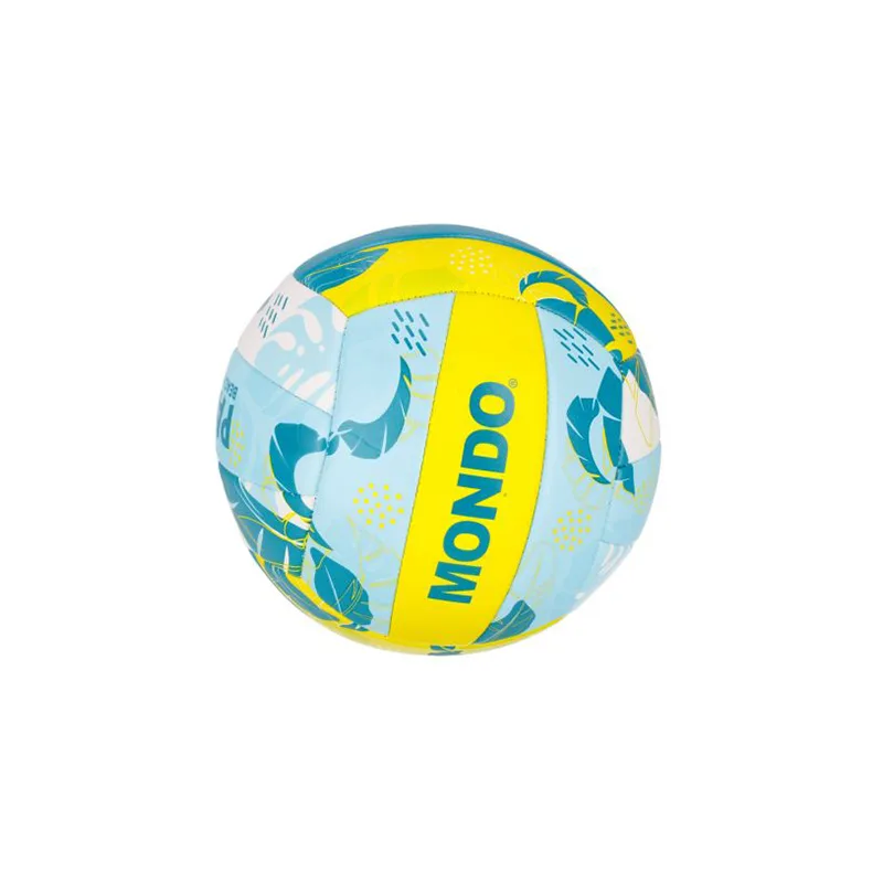 ფრენბურთის ბურთი