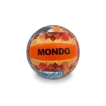 ფრენბურთის ბურთი