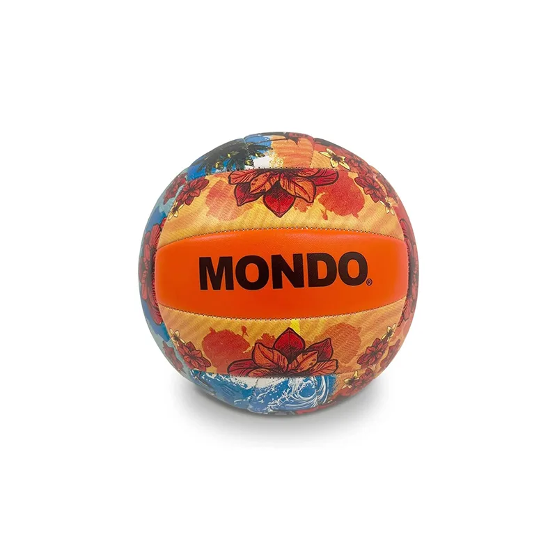 ფრენბურთის ბურთი