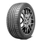 225/55R17 GOODYEAR EAGLE SPORT 4 SEASONS (საბურავი)