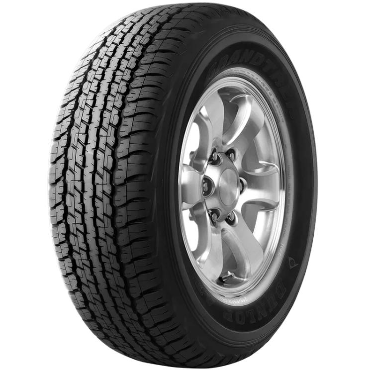 265/60R18 DUNLOP AT22 (საბურავი)