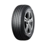 255/50R20 DUNLOP PT5 (საბურავი)